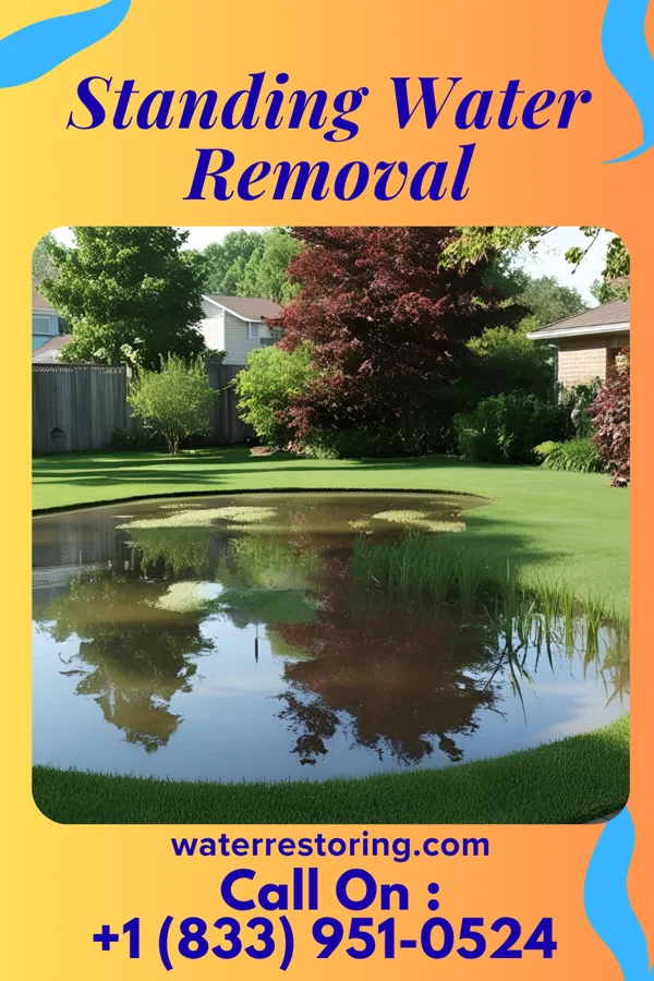 Standing Water Removal in Helena Valley Northwest, MT